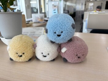 日常に戻りました！